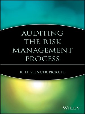 cover image of Auditing the Risk Management Process